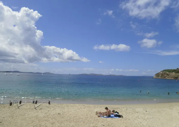 Artemis Agios Stefanos (Mykonos)